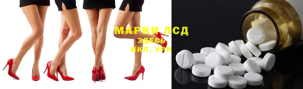 твердый Богданович