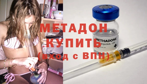 прущие грибы Семилуки