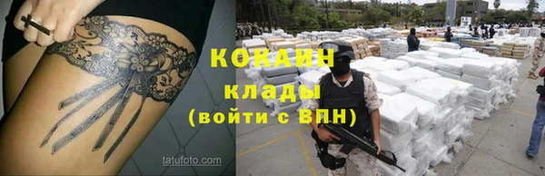 твердый Богданович